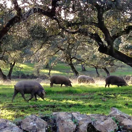 Villa Peaceful In With Private Pool *