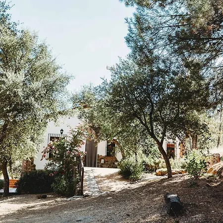 Villa Peaceful In With Private Pool