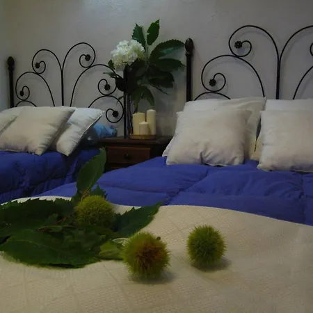 Peaceful In With Private Pool Villa Monesterio