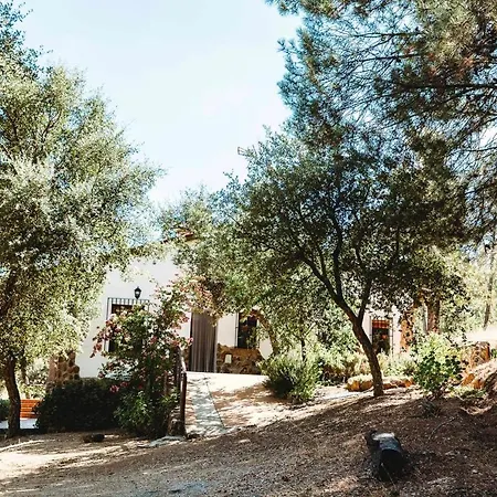 Peaceful In With Private Pool *