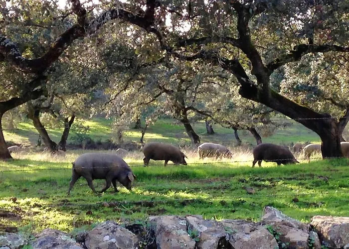 Villa Peaceful In With Private Pool *